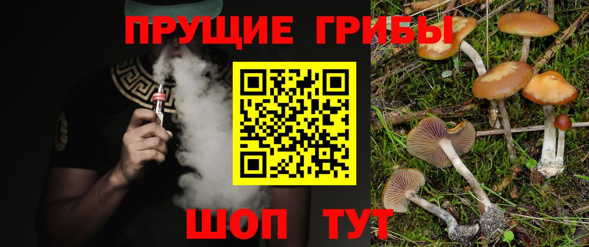 Таганрог  Галлюциногенные грибы Cubensis  Вход с VPN  Псилоцибиновые грибы GOLDEN TEACHER 